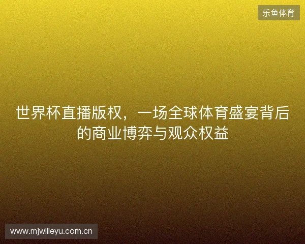 世界杯直播版权，一场全球体育盛宴背后的商业博弈与观众权益