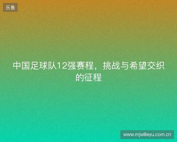 中国足球队12强赛程,挑战与希望交织的征程 中国足球队12强赛程,挑战与希望交织的征程